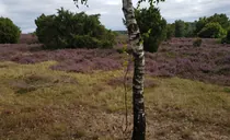 IMG-20250825-WA0042